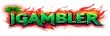 Top 10 Online Casino
